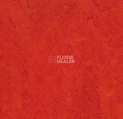 Кварцвиниловые полы Marmoleum Modular t3131 scarlet фото 1 | FLOORDEALER